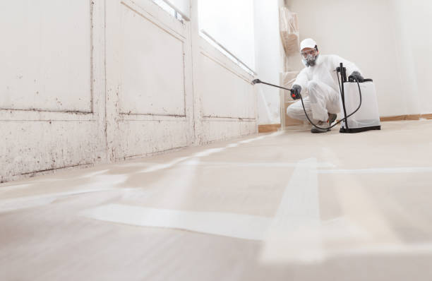 Post-remediation clearance in Pennington